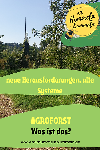 Naturgarten-Beratung