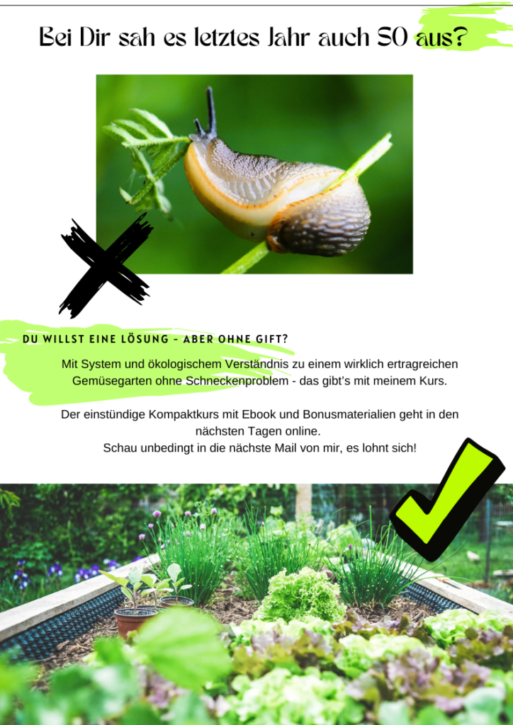 Der Nachtgarten — Buchcover